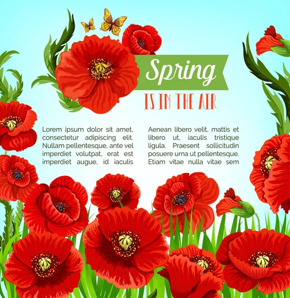 春のポピーの花のベクトル挨拶ポスター — ストックベクタ