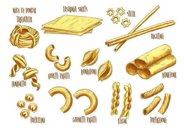 Vector schets iconen van Italiaanse pasta verscheidenheid — Stockvector