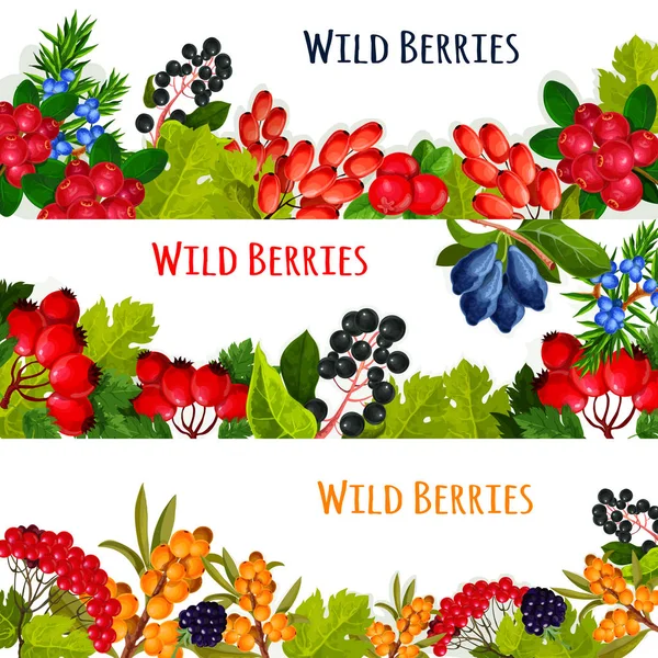 Vector banners set of wild berries and ruits — Stock Vector