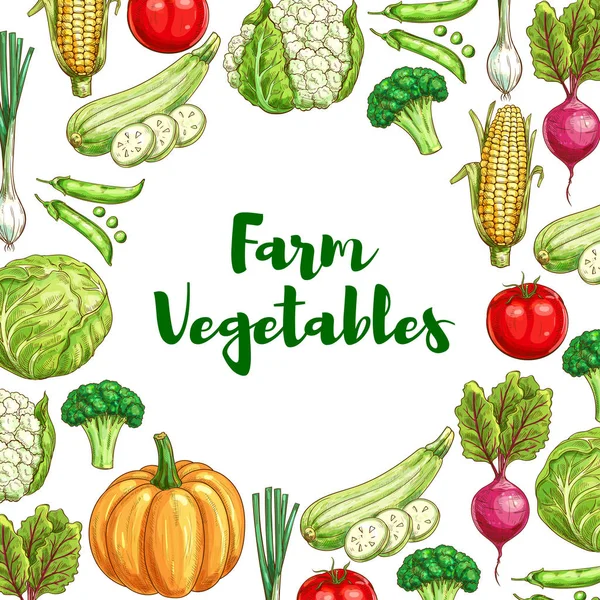 Cartel de verduras para el diseño de alimentos agrícolas ecológicos — Vector de stock