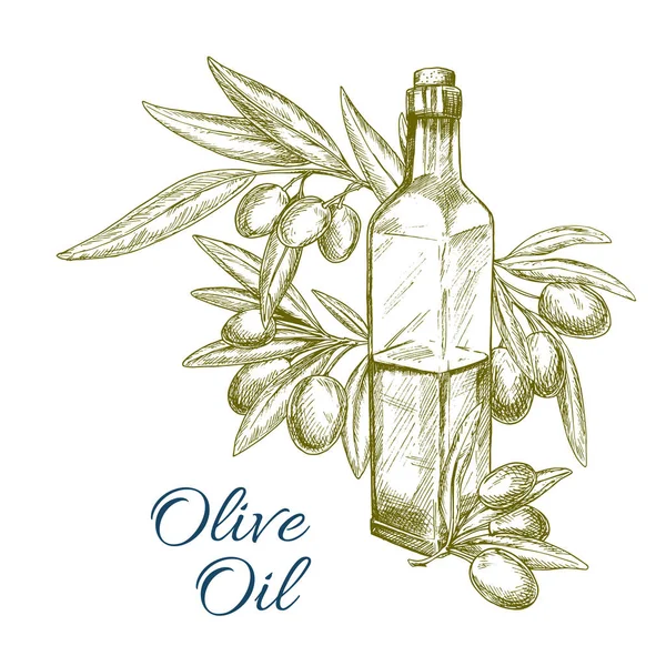 Olivenölflasche und Olivenzweigvektorskizze — Stockvektor
