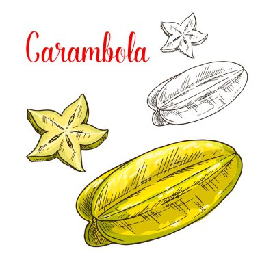 Starfruit veya carambola meyve izole kroki