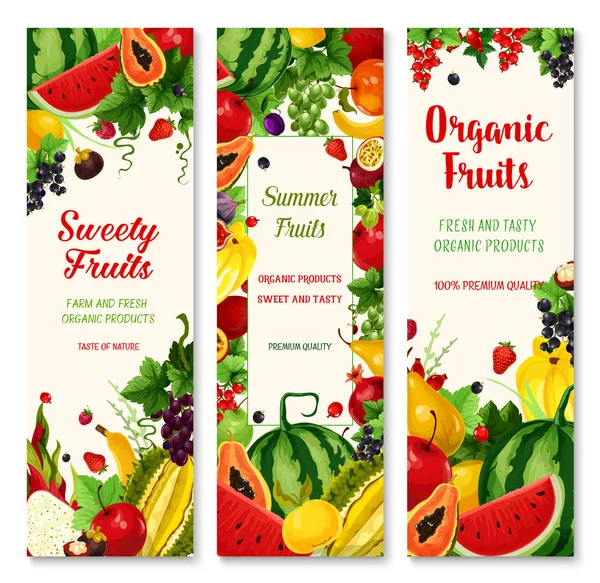 Summer fruit and berry banner set for food design - Stok Vektor