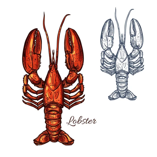 Lobster seafood djur eller kräftor skiss — Stock vektor