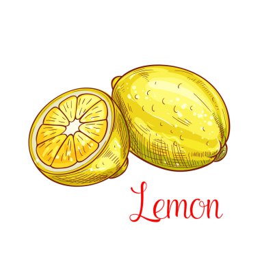 Limonlu narenciye dilim izole kroki ile