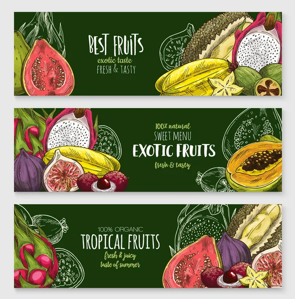 Exotische tropische vruchten schoolbord banner set — Stockvector