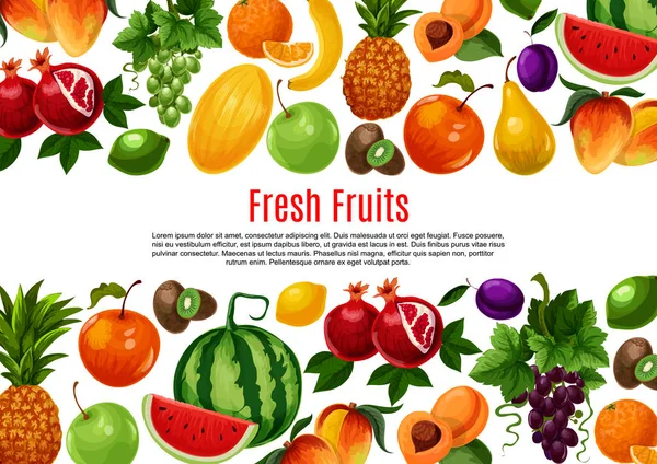 Affiche vectorielle de fruits frais de jardin ou tropicaux — Image vectorielle