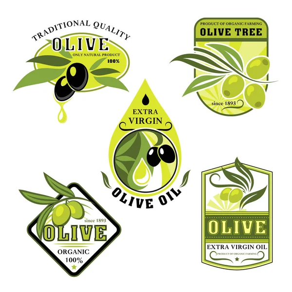 Iconos vectoriales de aceitunas y aceite de oliva italiano — Vector de stock