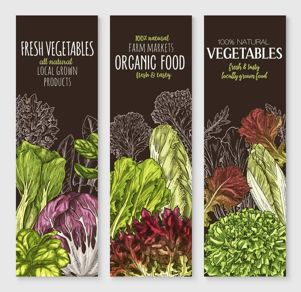 Vector fanor av gården odlas sallader grönsaker — Stock vektor