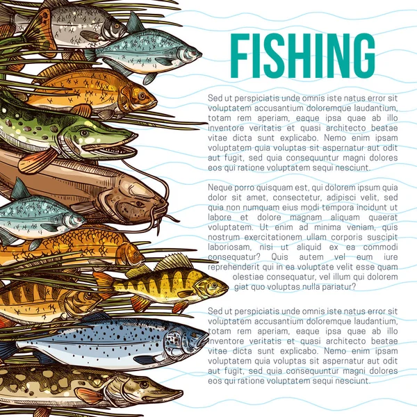 Vector poster for fishing or sea fish product — Stock Illustration Vector poster for fishing or sea fish product Stock Vector