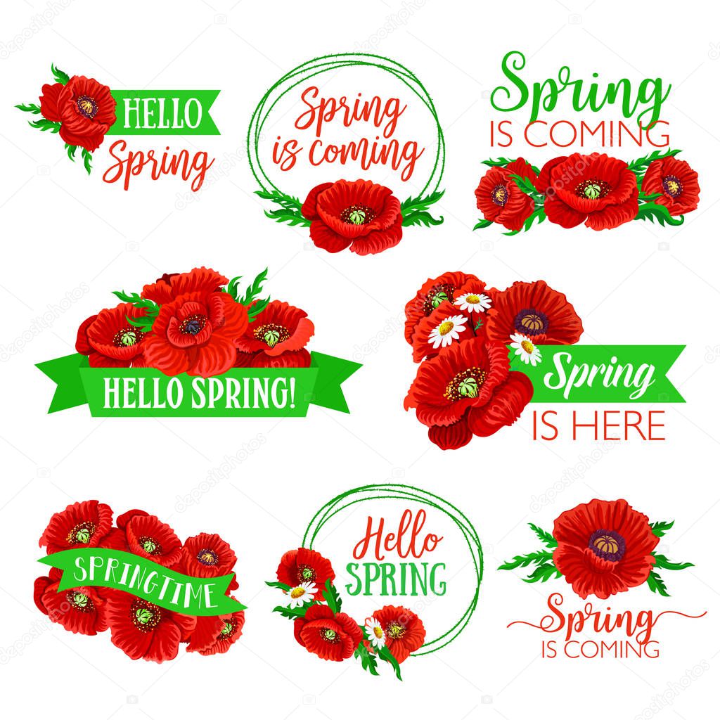 Hello Spring floral symbol set. Spring flower of daisy and poppy with green leaves and ribbon banner with greeting wishes. Springtime holidays badge and label design