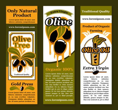 Zeytin ve zeytin yağı ürün için vektör afişler