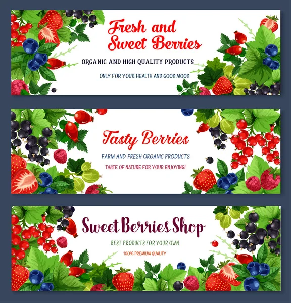 Bacche dolci fresche vettoriali sui banner — Vettoriale Stock