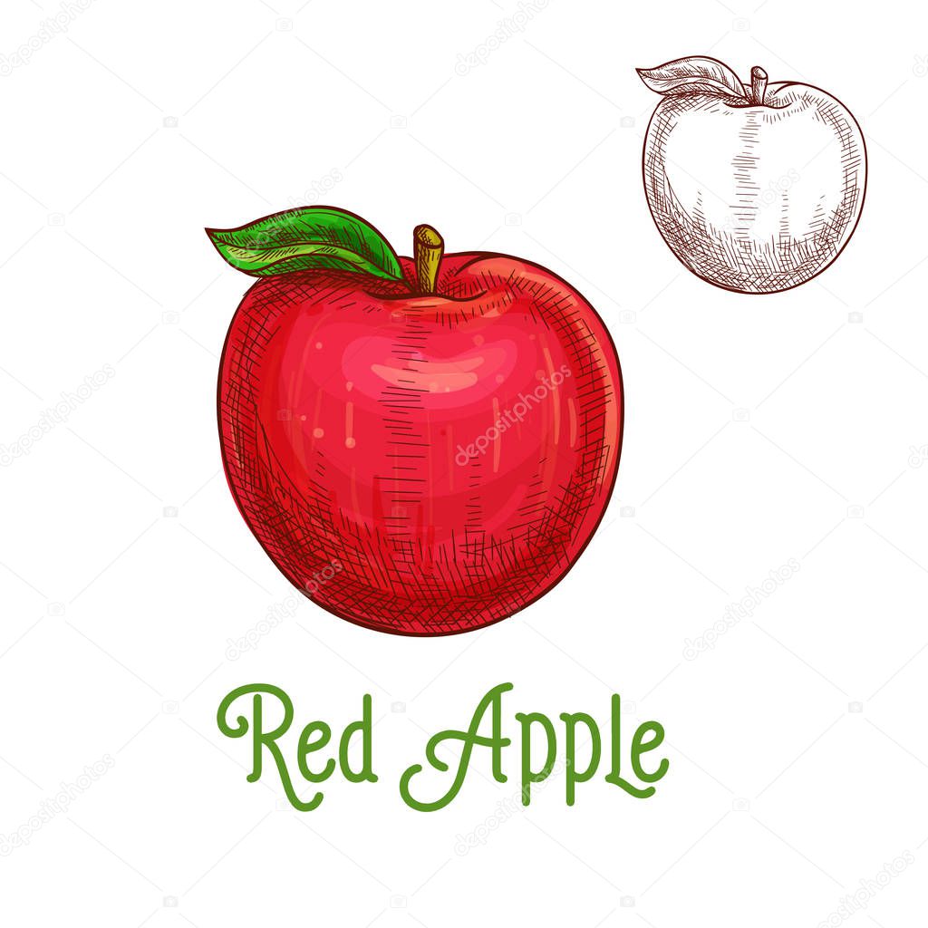 Apple vector sketch isolated fruit icon