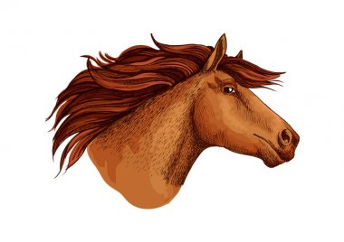 At yarışçısı mustang baş vektör kroki sembolü