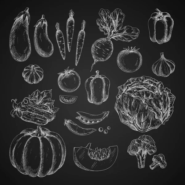 Λαχανικά απομονωμένες εικονίδια σκίτσο διάνυσμα — Διανυσματικό Αρχείο