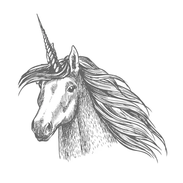 Unicorn magic horse head sketch