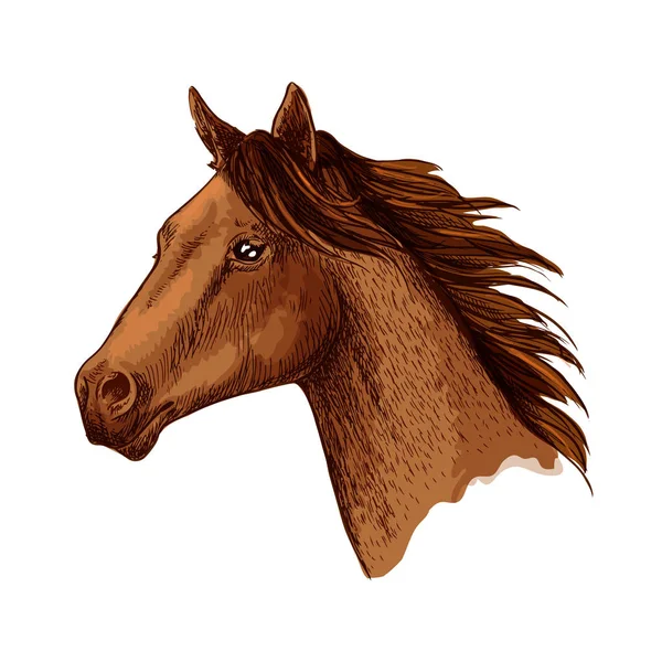 Paard trotter hoofd vector schets symbool — Stockvector