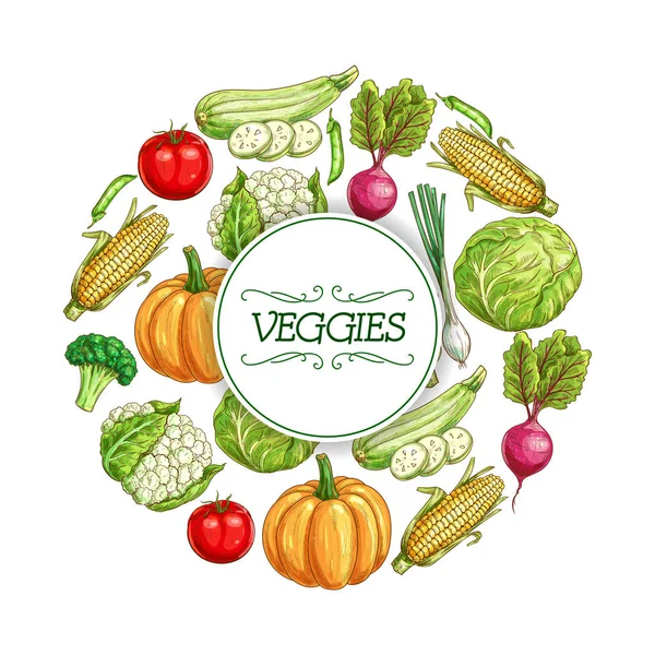 Cartel de boceto de verduras para el diseño de etiquetas de alimentos — Vector de stock