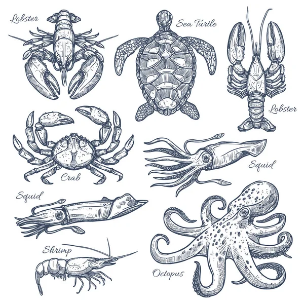 Set di schizzi isolati di animali marini e frutti di mare — Vettoriale Stock