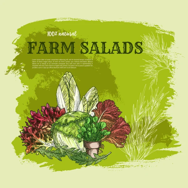 Salade blad en groene groente schets poster — Stockvector