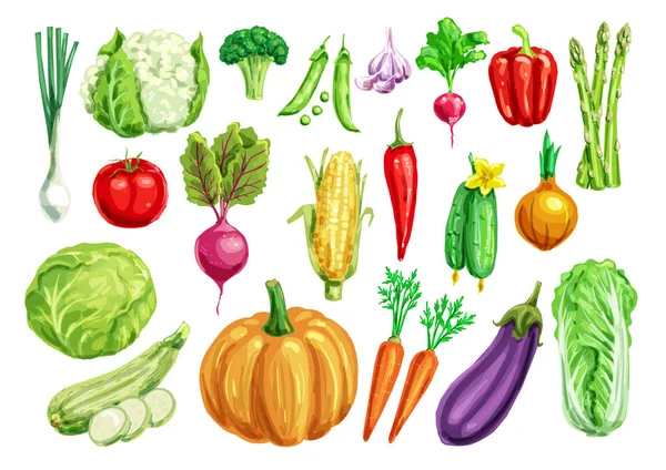 Ensemble aquarelle de légumes pour un design alimentaire sain — Image vectorielle