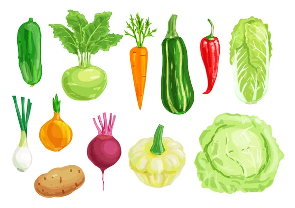 Sada bio zeleniny akvarel ilustrace — Stockový vektor