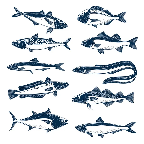 Морська риба значок набір для морепродуктів і риболовлі дизайн — стоковий вектор