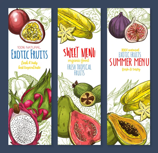 Set di banner per schizzi di frutta esotica dolce tropicale — Vettoriale Stock