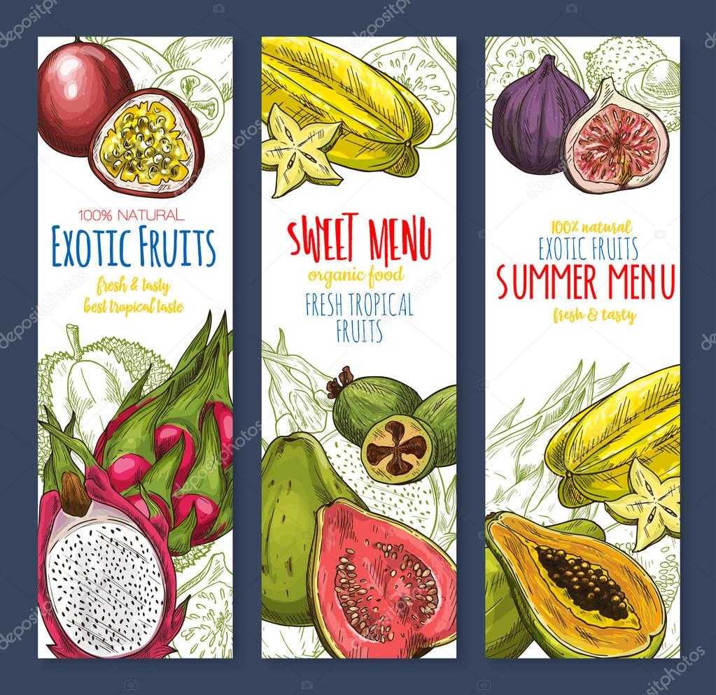 Exotic fruit sweet tropical food sketch banner set