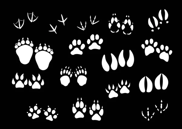 Vector imprint icons of animal or birds foot paws — Stock Vector