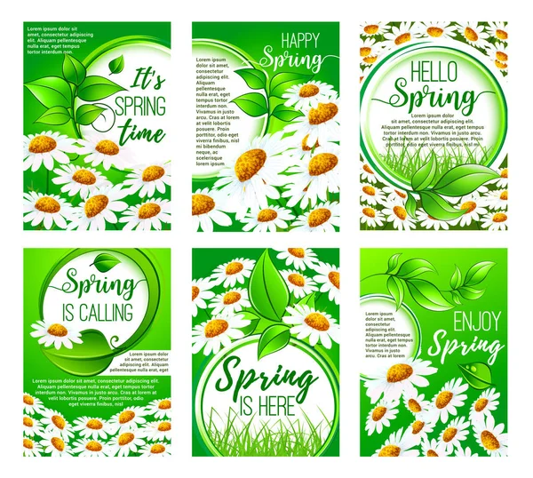 春の花のグリーティング カード休日のデザインの設定 — ストックベクタ