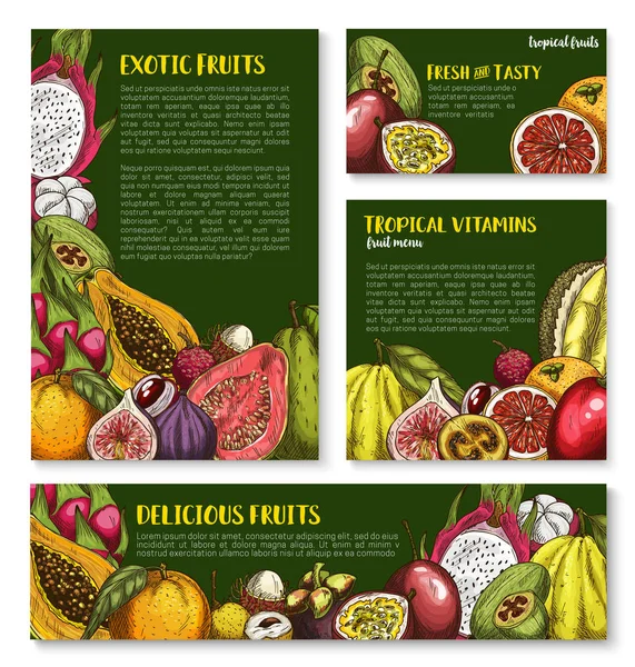 Wektor szablony z egzotycznych owoców tropikalnych — Wektor stockowy