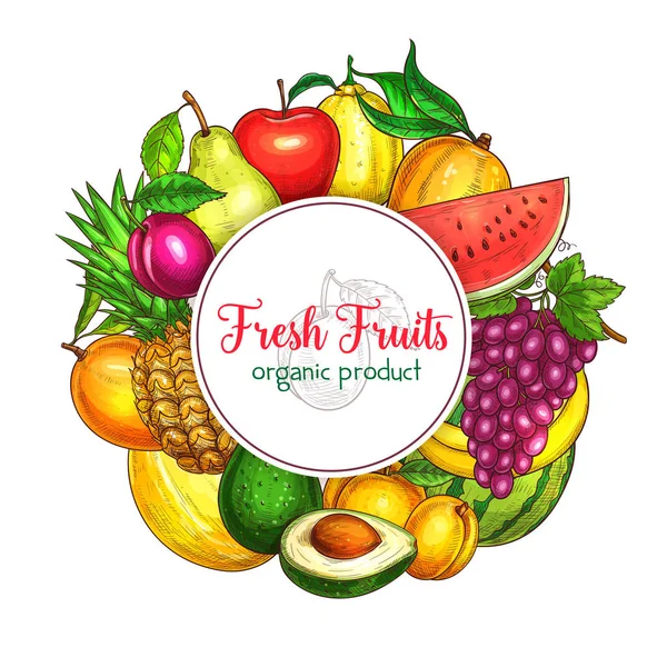Affiche vectorielle de fruits exotiques tropicaux frais — Image vectorielle