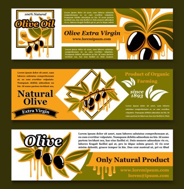 Zeytinyağı sızma ürün afiş kümesi vektör