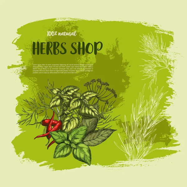 Affiche vectorielle d'épices et d'herbes pour boutique — Image vectorielle