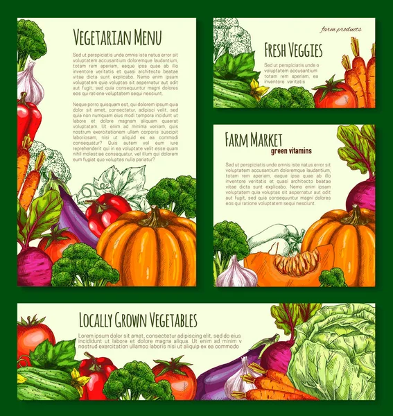 Vegetables havest vector banners and posters set — Stock Vector