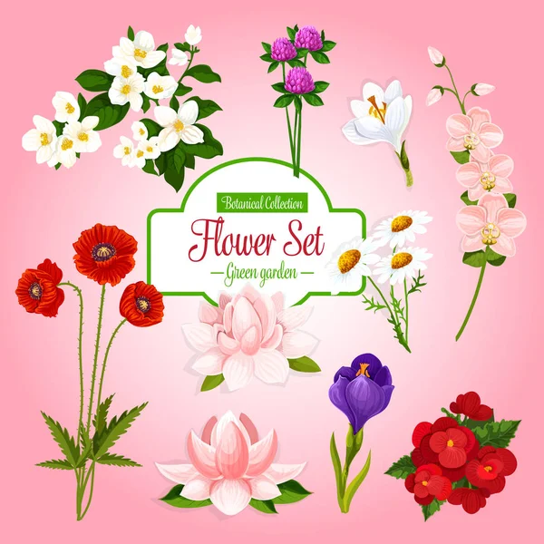 Cartaz de vetor de flores de jardim de primavera conjunto —  Vetores de Stock