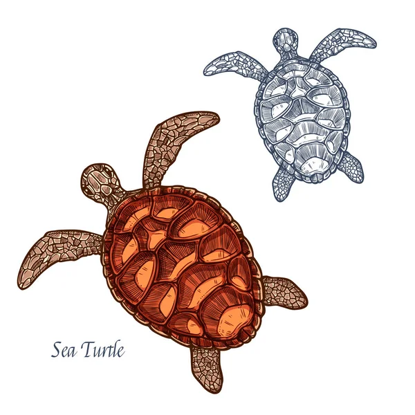 Sea turtle vector isolated sketch icon — Stock Vector