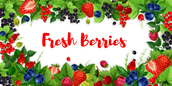 Berries and sweet garden fruits vector banners