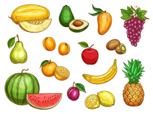 Vector exotic fresh fruits isolated icons set — Stock Vector