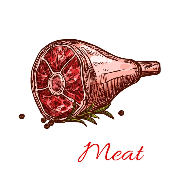 Vector raw fresh hind quarter meat isolated icon — Stock Vector