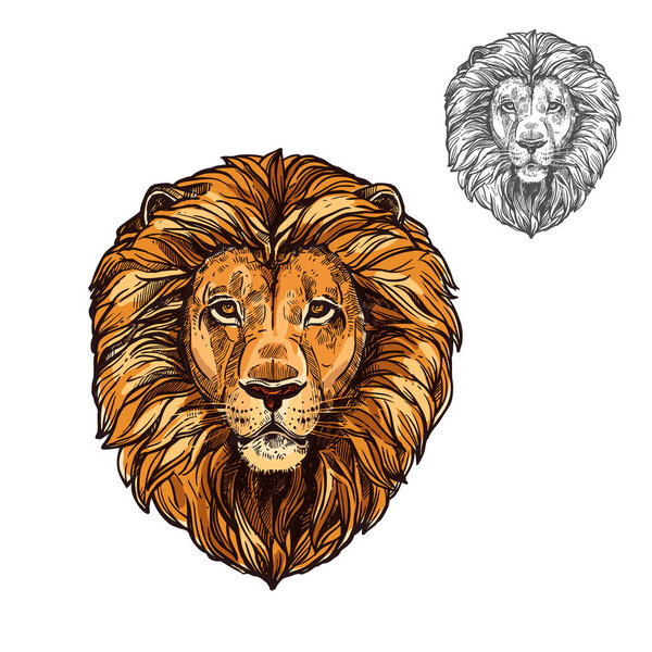 Lion muzzle African wild animal vector sketch icon