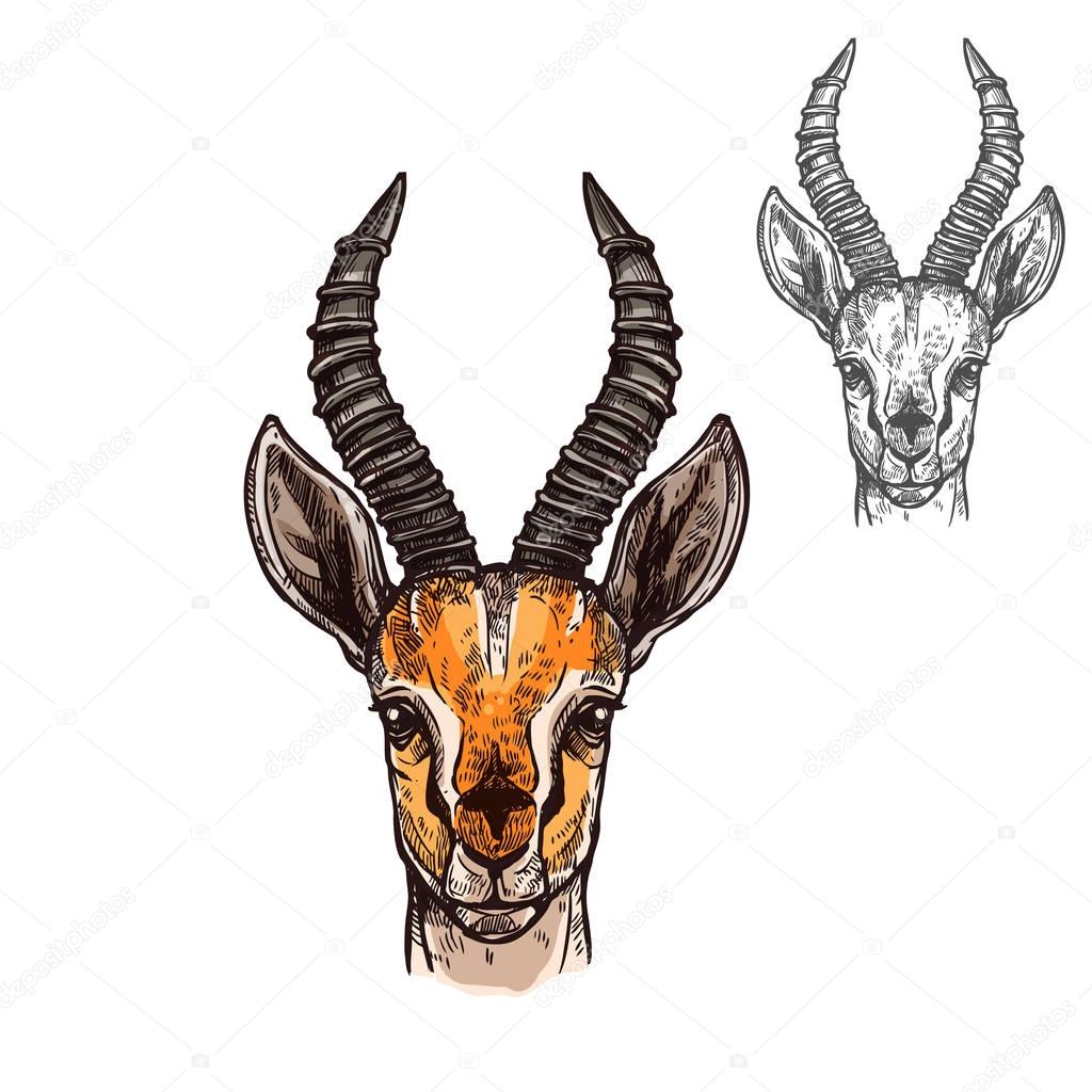 Antelope African wild animal head or muzzle sketch with horns. Vector isolated icon of gazelle or saigas for zoology, mascot blazon of sport team, wildlife nature adventure scout club or tattoo