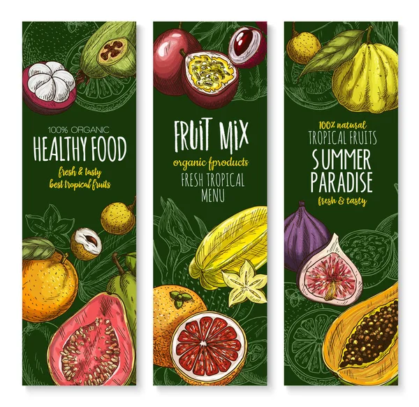 Vector banners voor exotische vers fruit menu instellen — Stockvector