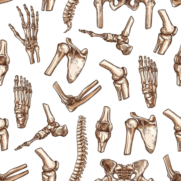 人間の骨格骨のシームレスなパターン背景 — ストックベクタ
