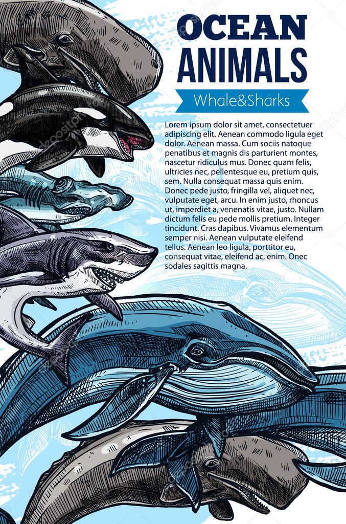Whale and shark ocean animal sketch poster
