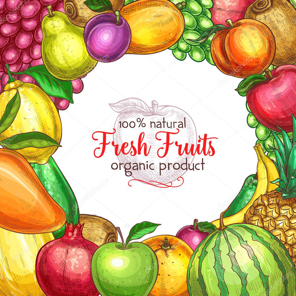 Fruit frame sketch poster for food, drink design