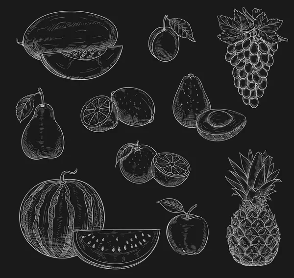 Croquis vectoriel à la craie icônes de fruits exotiques — Image vectorielle