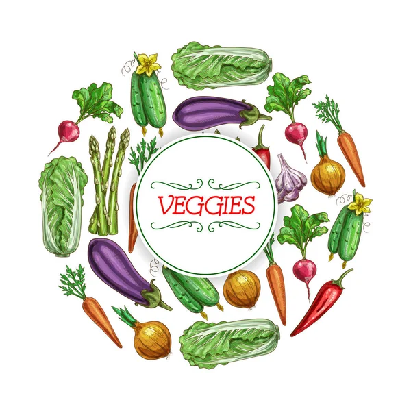 Grönsaker eller grönsaker mat vektor skiss affisch — Stock vektor